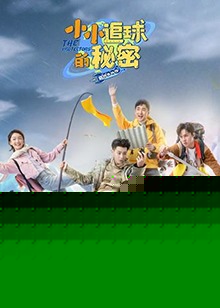 小小追球的秘密