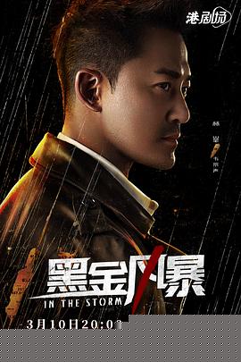 黑金風(fēng)暴國(guó)語(yǔ)