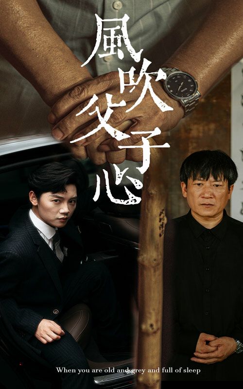 風(fēng)吹父子心(全集)