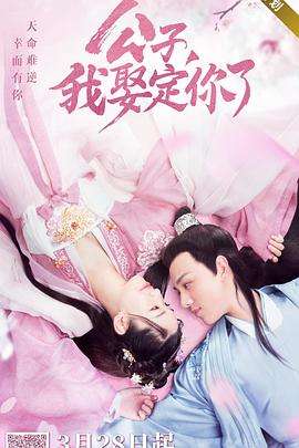 公子，我娶定你了(全集)