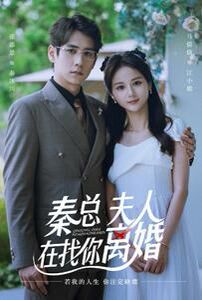 秦總，夫人在找你離婚(全集)