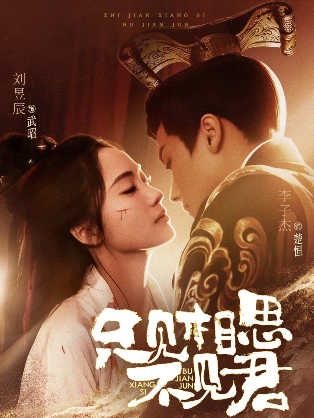 只見(jiàn)相思不見(jiàn)君(全集)