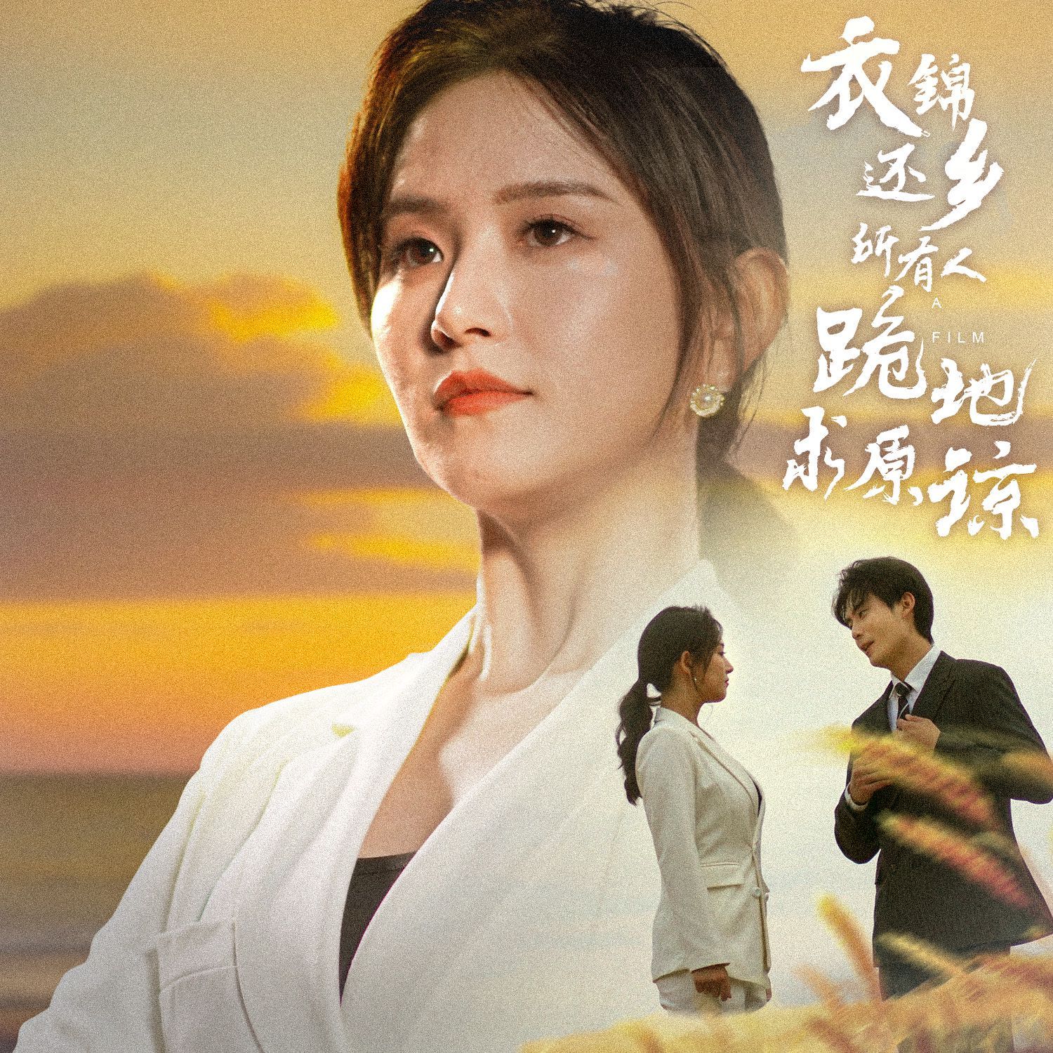 衣錦還鄉(xiāng)，所有人跪地求原諒(全集)