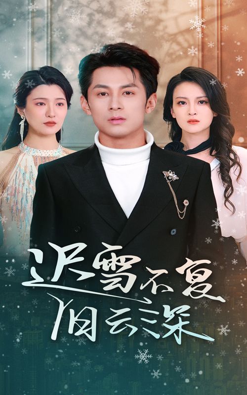 遲雪不復(fù)舊云深（當(dāng)年明月，負(fù)盡深雪）(全集)