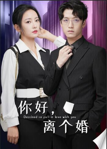你好，離個(gè)婚(全集)