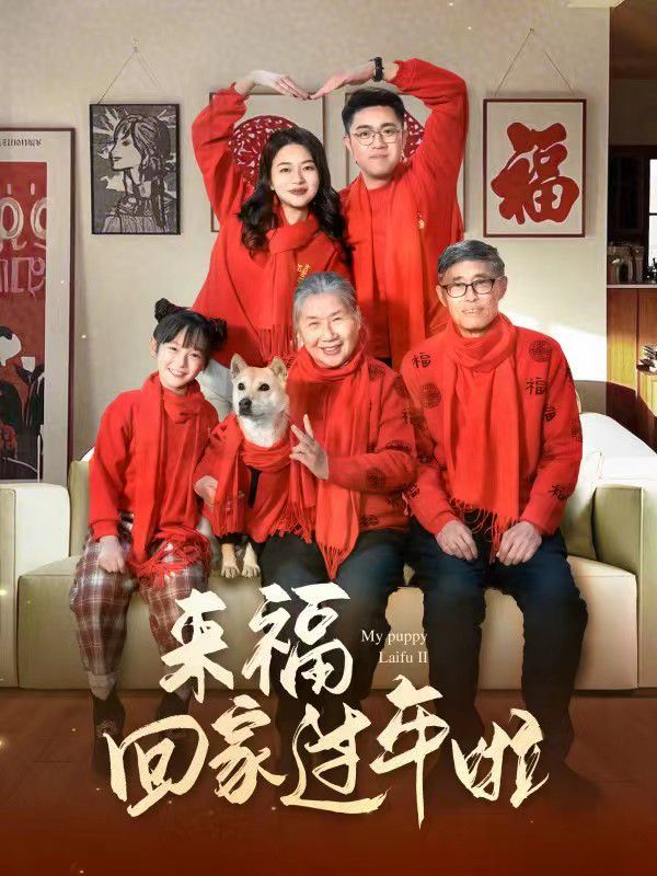 來?；丶疫^年啦(全集)