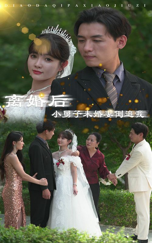 離婚后，小舅子未婚妻倒追我(全集)